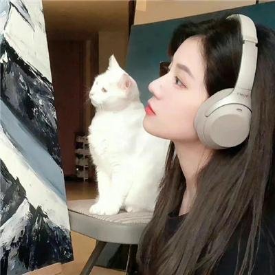 非道缉恶