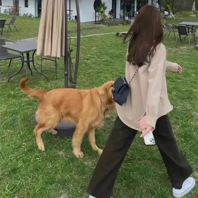 最后曙光